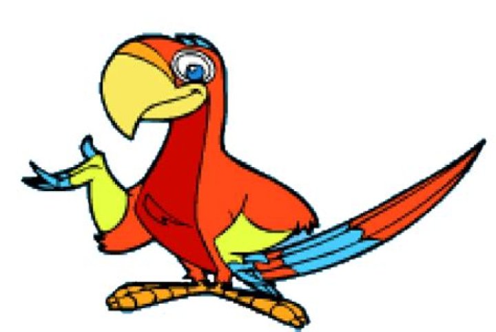 Paco (Maya & Miguel) as Parrot in Fictional animals by species