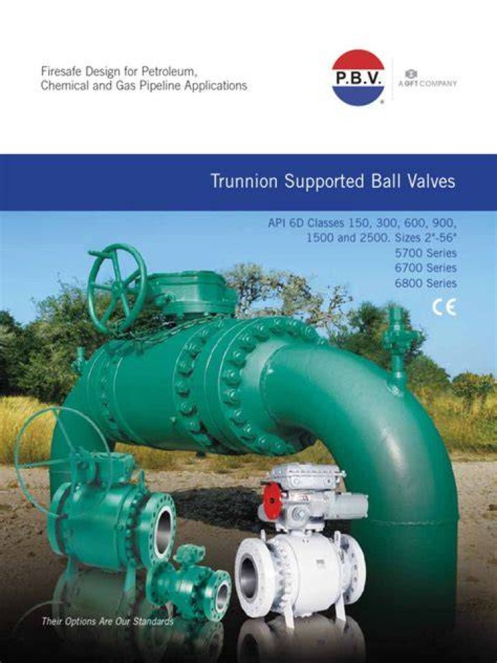 PBV TBV Cat 08 by Westlund PVF Issuu