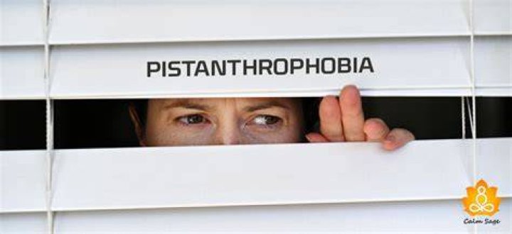 Pistanthrophobia What It Is and How to It