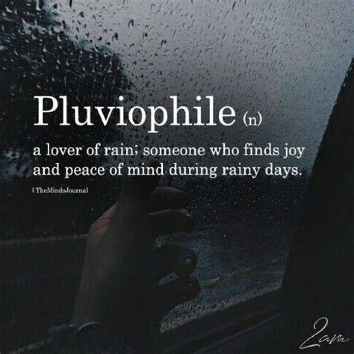 Pluviophile (n.) A lover of rain. Someone who finds joy and peace of