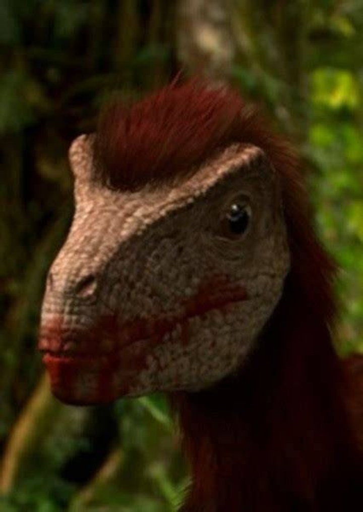 Pod (Dinosaur Planet) Fan Casting