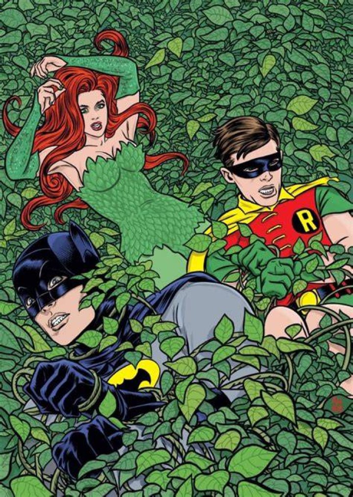 Poison Ivy Fan Casting for “Batman: Riddle of the Riddler” | myCast