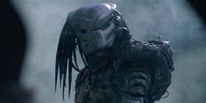Predator