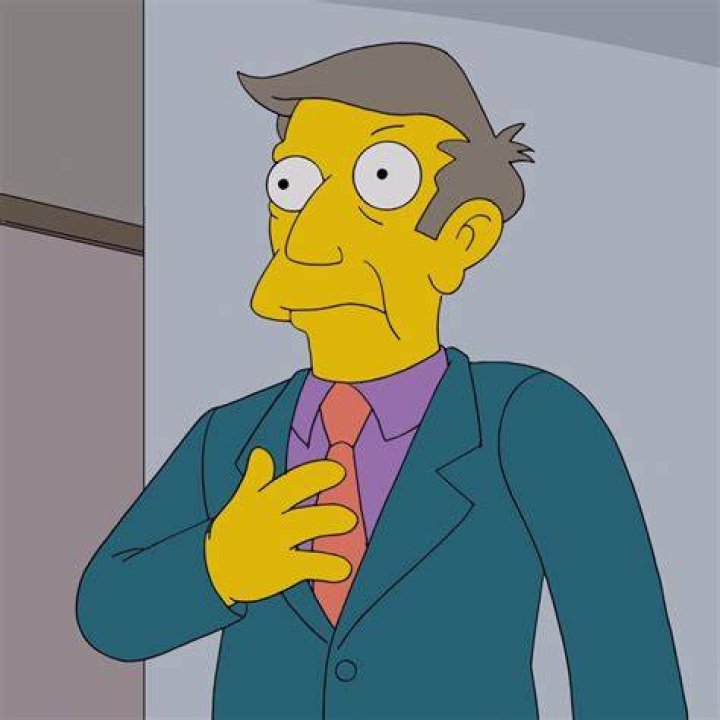 Principal Skinner as Skinner in Meme Squad 
