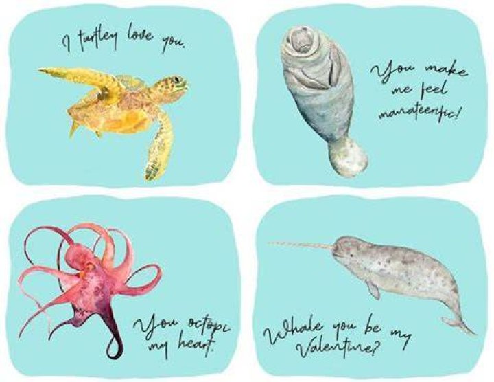 PRINT AT HOME Ocean Pun Valentine's Day Cards // Animal Pun Card