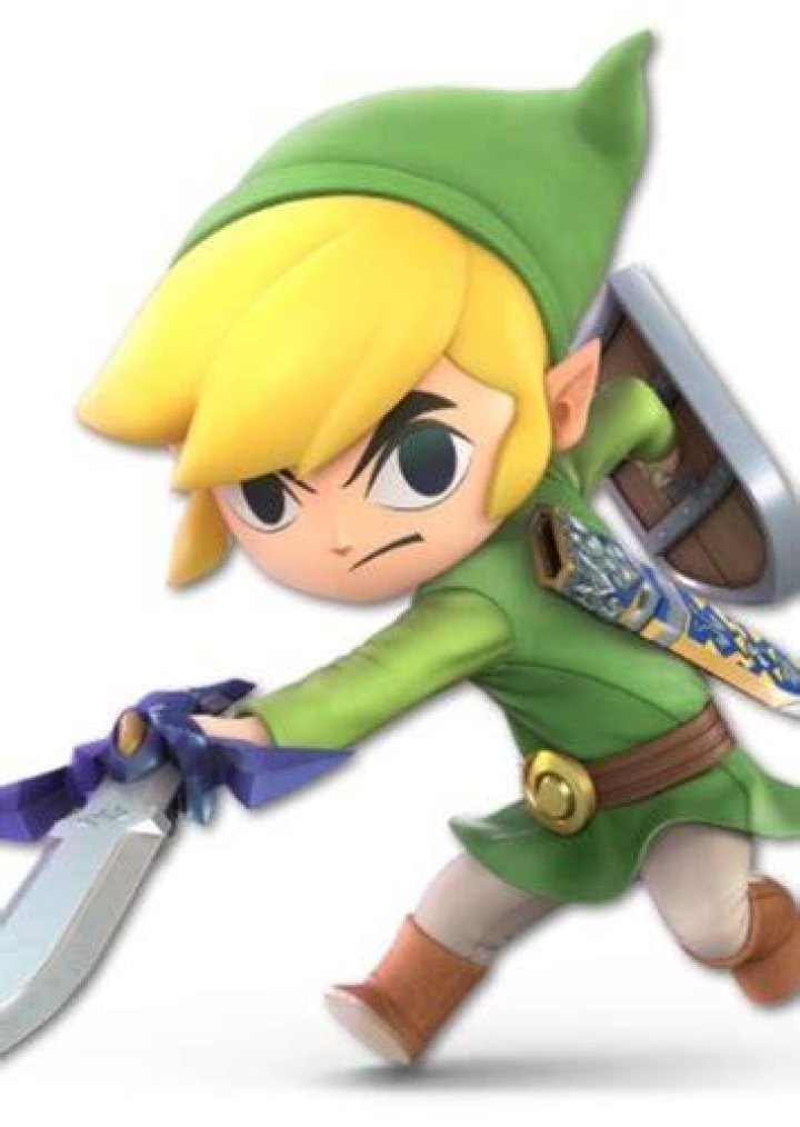 Sachi Matsumoto as Toon Link in Super Smash Bros. Vs. Nickelodeon All-Stars Vs. MultiVersus