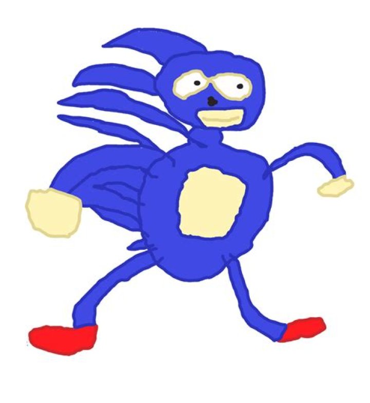 Sanic the Hedgehog 