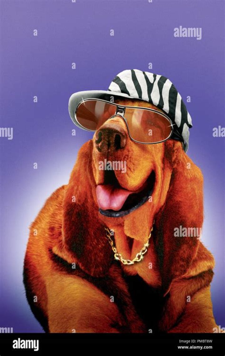 Snoop Dogg as Lightning the Bloodhound in Racing Stripes 2 