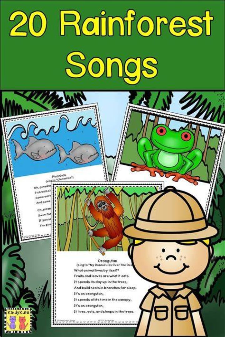 Songs of the Rainforest