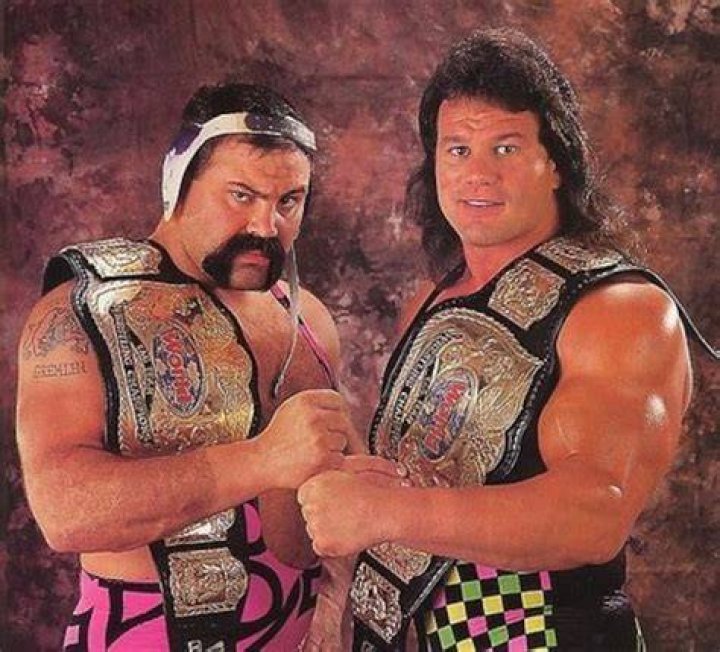 Steiner Brothers' Legendary Success in WWE