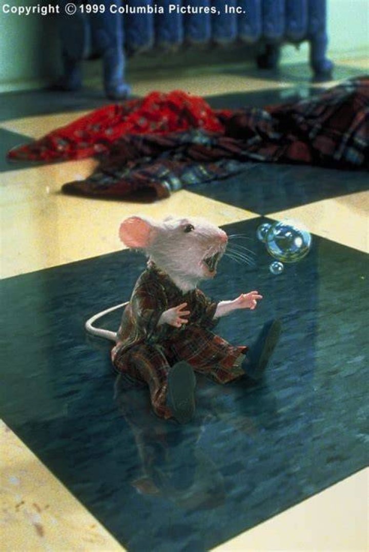 Stuart Little