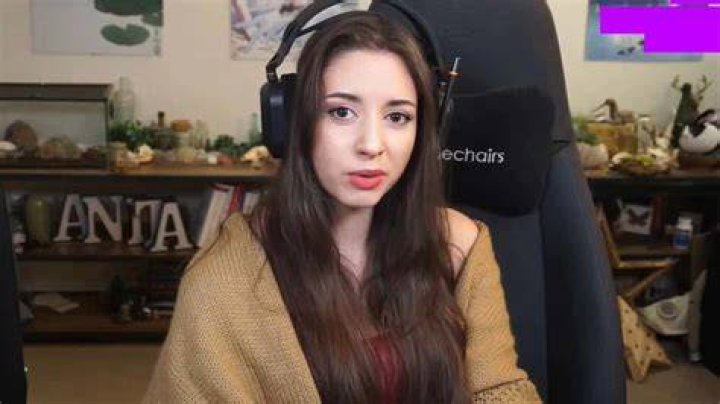 Sweet Anita savagely destroys Twitch viewer after sexist message Dexerto