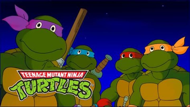 &ldquo;Teenage Mutant Ninja Turtles&rdquo; Cartoon Idea