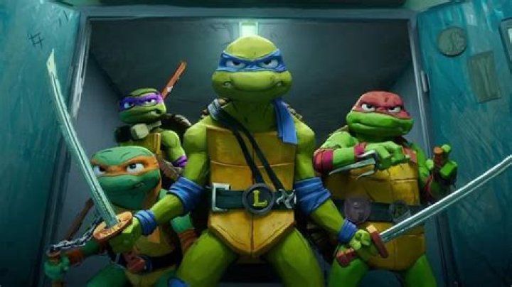 Teenage Mutant Ninja Turtles (TMNT)