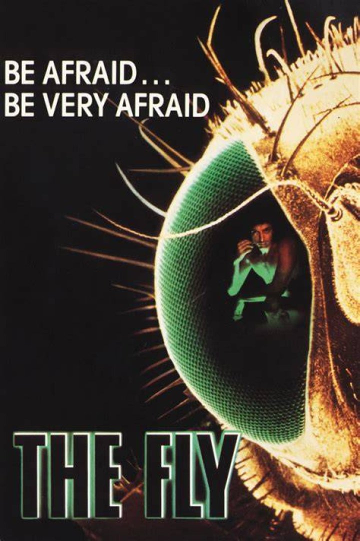 The Fly