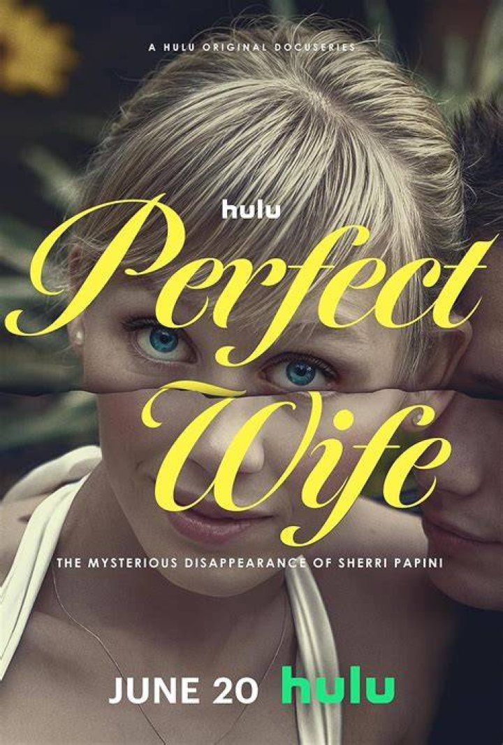 The Perfect Wife/The Perfect Husband (Japanese Remake)