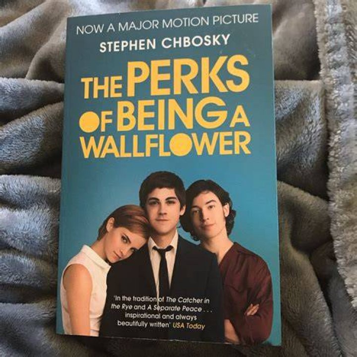 The perks of being a wallflower