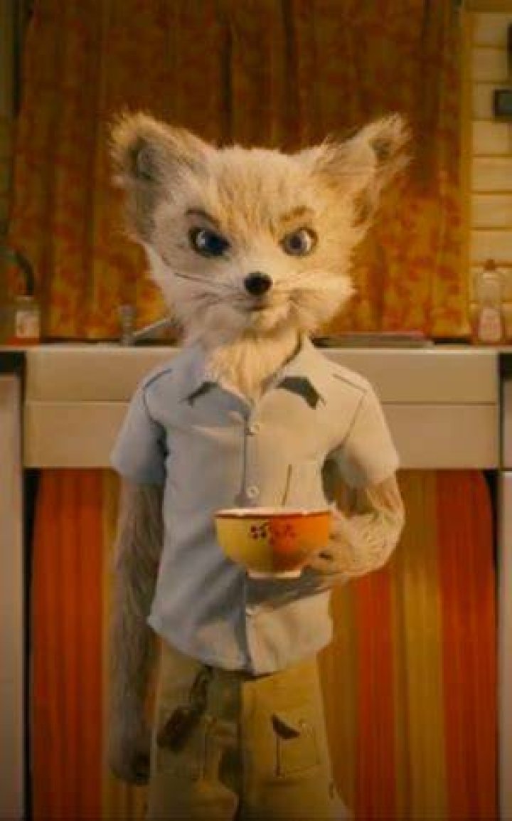 Timoth&eacute;e Chalamet as Kristofferson Silverfox in Fantastic Mr. Fox