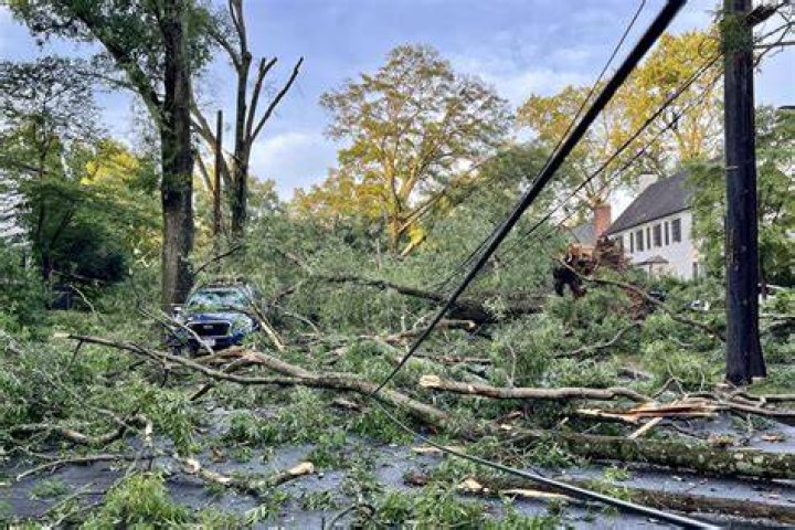 Trees down, thousands of outages,... Anna Guber My NBC5