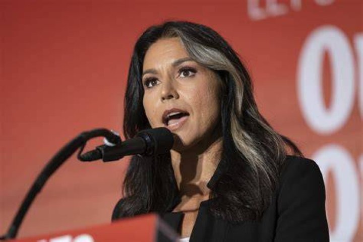 Tulsi Gabbard Net Worth How Much is She Worth? WorldWire