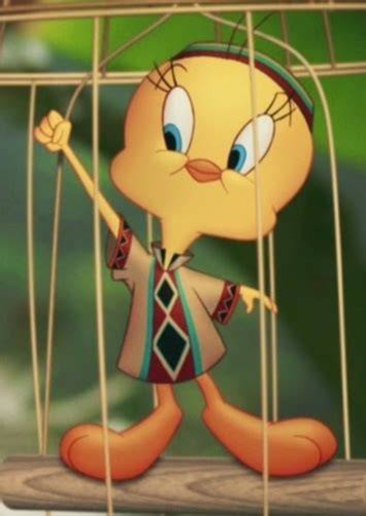 Tweety Fan Casting