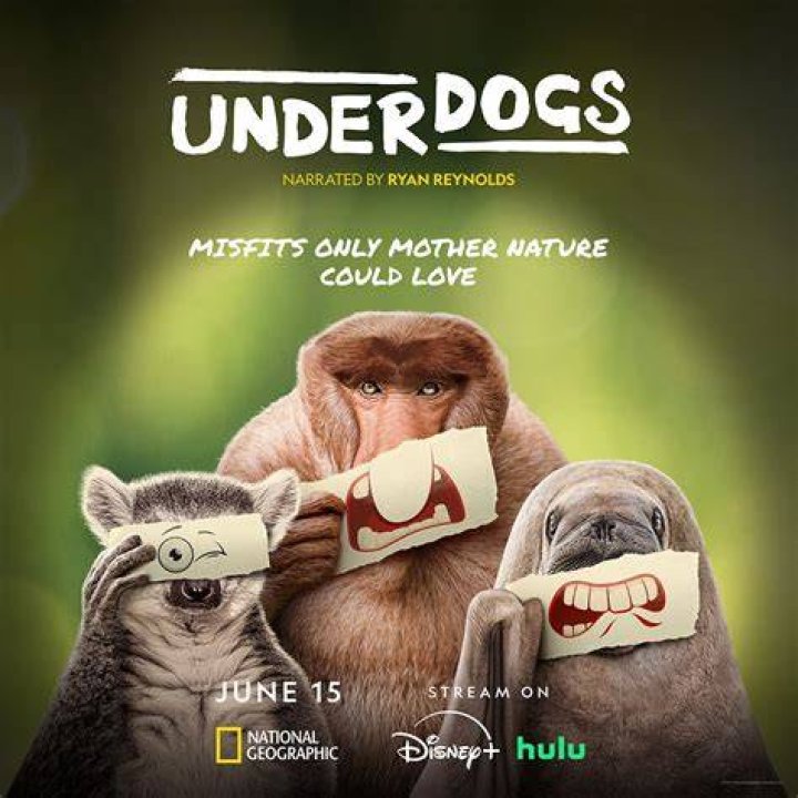 Underdogs