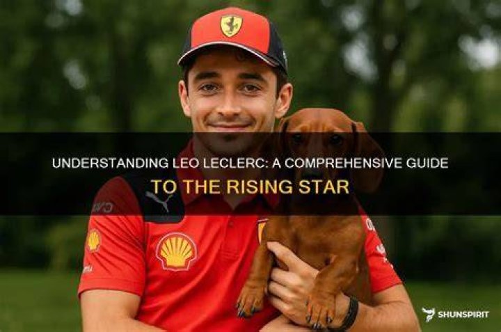 Understanding Loey: A Comprehensive Guide To A Rising Star
