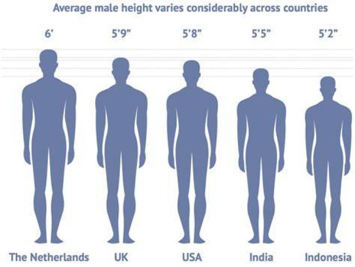 Understanding The 6'5 Man: Height, Advantages, And Impact In Society