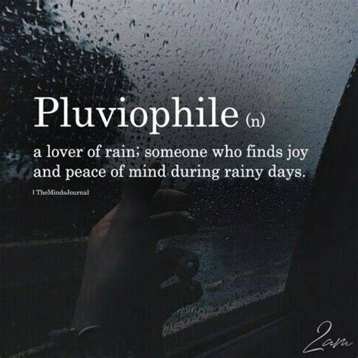 Understanding The Meaning Of Pluviophile: A Deep Dive Into The Love For Rain