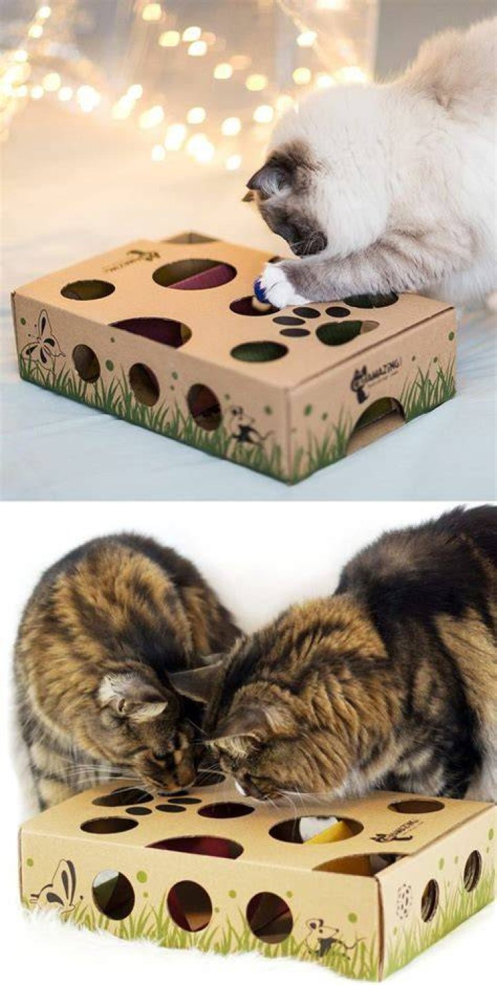 Unique Cat Toys Alice Clayton