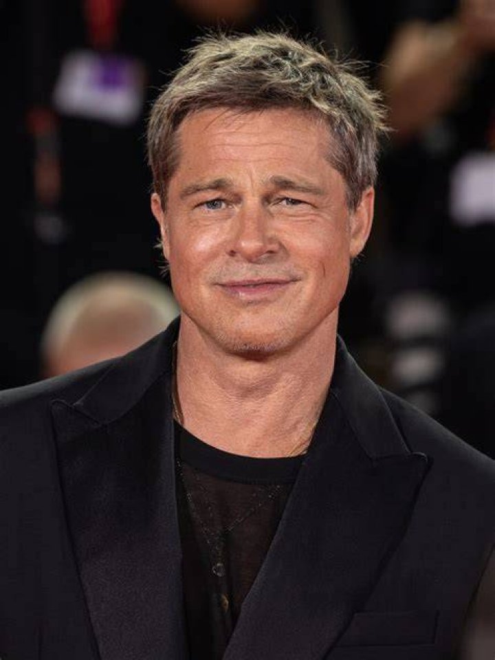 Who Is Brad Pitt's Sister, Julie Pitt Neal? TheThings