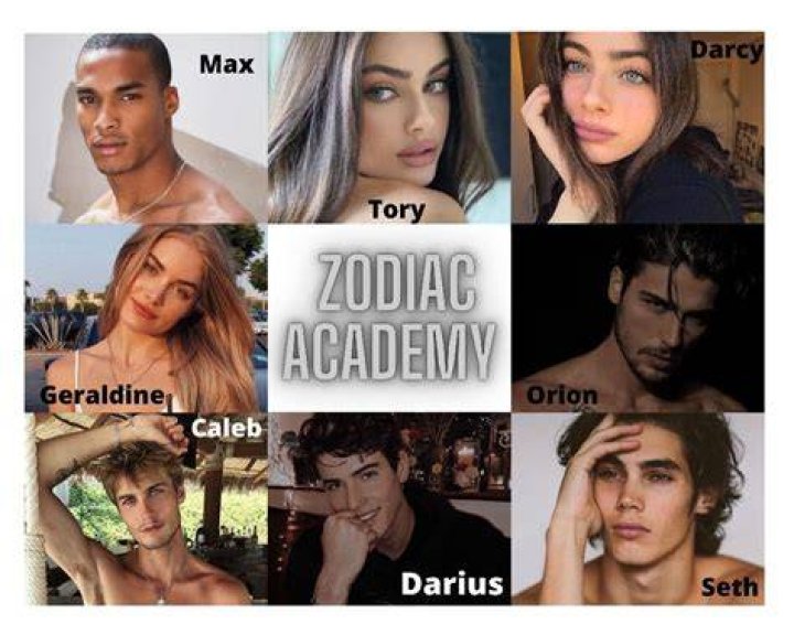 Zodiac Academy 